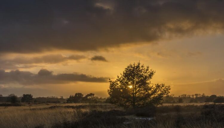 سری بیست و ششم پس زمینه های با کیفیت 4K