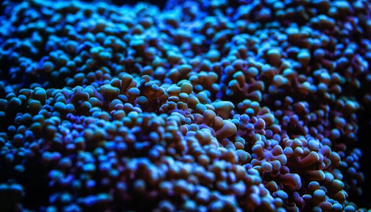 سری بیست و ششم پس زمینه های با کیفیت 4K