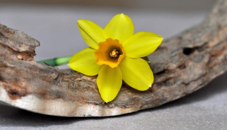 سری بیست و ششم پس زمینه های با کیفیت 4K