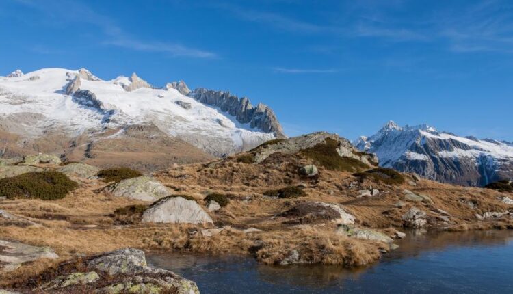 عکس تصویر زمینه گوشی اندروید