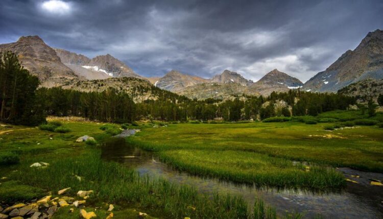 بک گراند گوشی سامسونگ