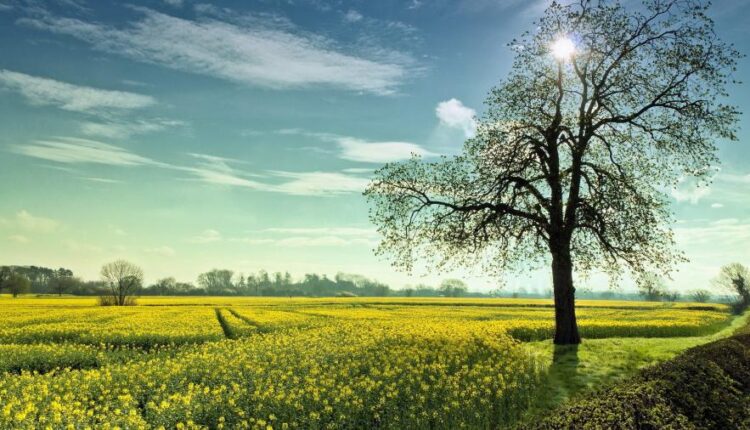 سری بیست و هشتم تصویر زمینه های متنوع با کیفیت   Wallpapers