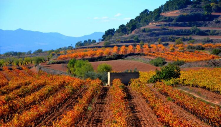 سری بیست و هشتم تصویر زمینه های متنوع با کیفیت   Wallpapers