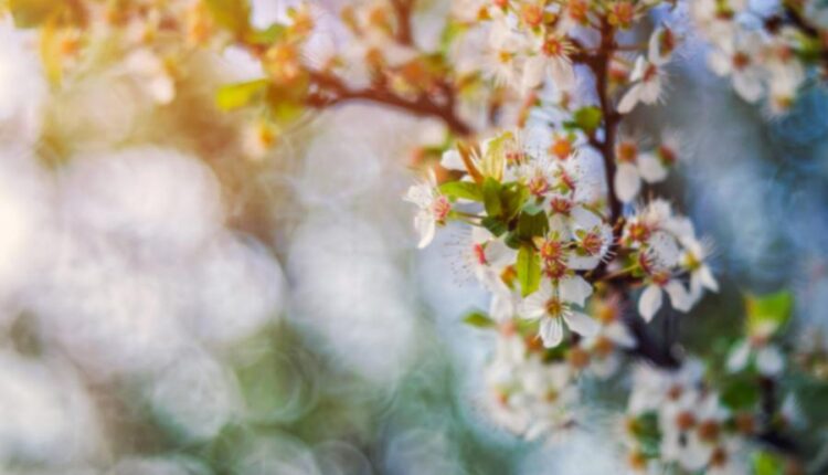 سری بیست و هشتم تصویر زمینه های متنوع با کیفیت   Wallpapers