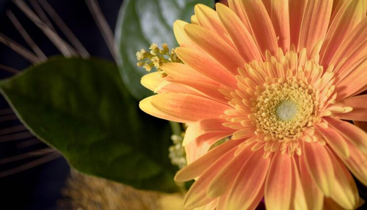 سری بیست و هشتم تصویر زمینه های متنوع با کیفیت   Wallpapers