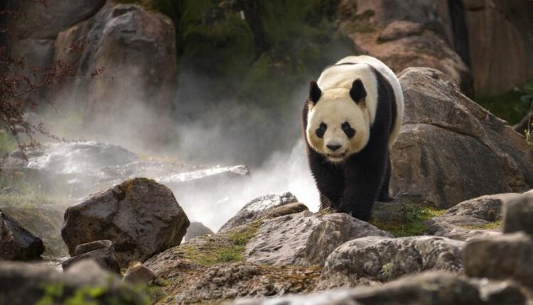 سری بیست و هشتم تصویر زمینه های متنوع با کیفیت   Wallpapers