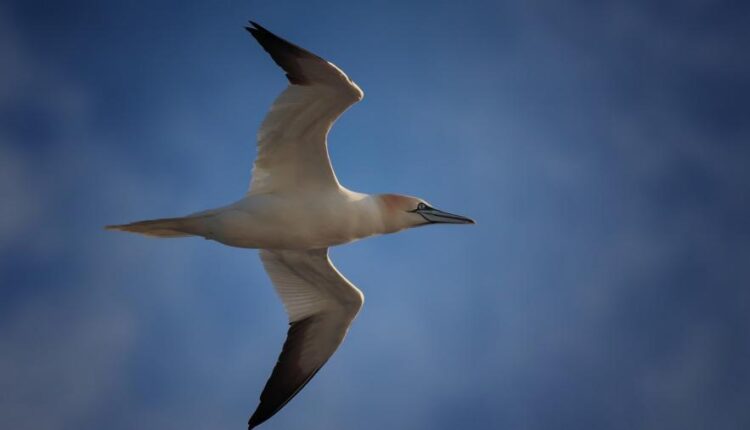 سری بیست و هشتم تصویر زمینه های متنوع با کیفیت   Wallpapers