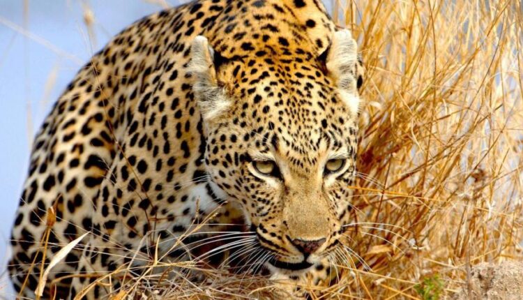 سری بیست و نهم عکس زمینه های متنوع با کیفیت   Wallpapers