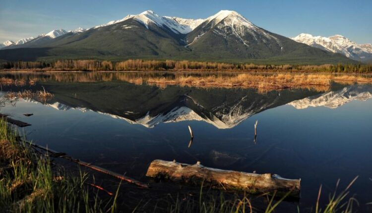 سری بیست و نهم عکس زمینه های متنوع با کیفیت   Wallpapers