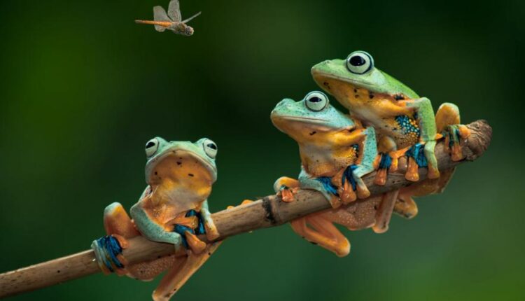 سری بیست و نهم عکس زمینه های متنوع با کیفیت   Wallpapers