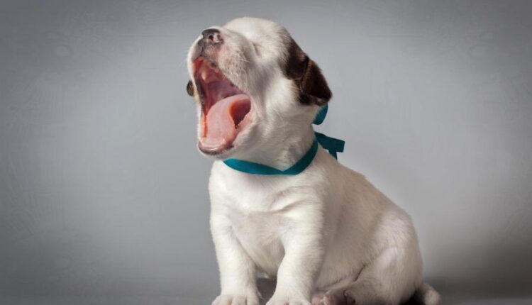 سری بیست و نهم عکس زمینه های متنوع با کیفیت   Wallpapers