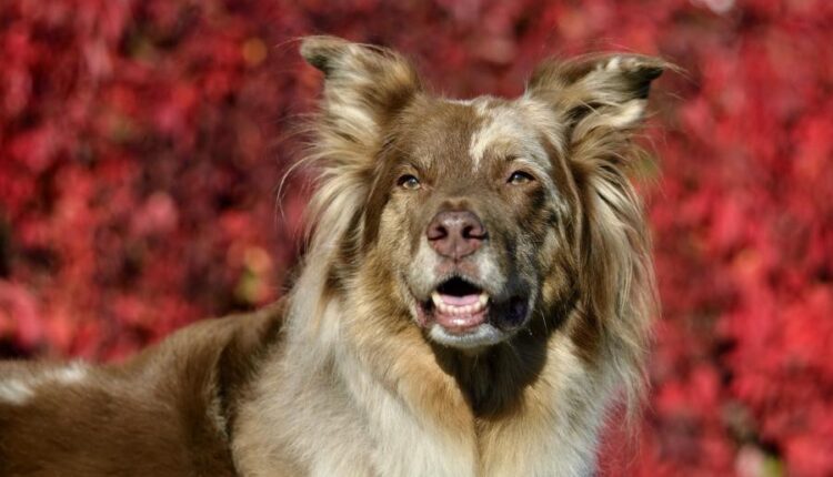 سری بیست و نهم عکس زمینه های متنوع با کیفیت   Wallpapers