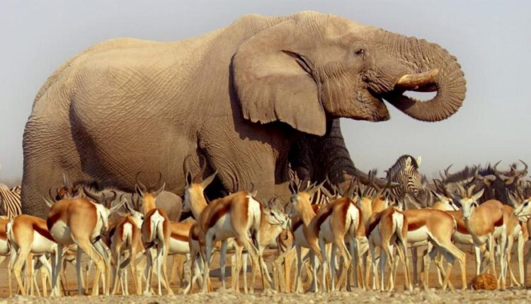 سری بیست و نهم عکس زمینه های متنوع با کیفیت   Wallpapers