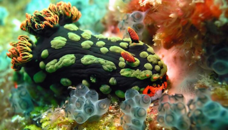 سری بیست و نهم عکس زمینه های متنوع با کیفیت   Wallpapers