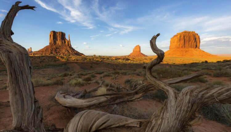 سری بیست و نهم عکس زمینه های متنوع با کیفیت   Wallpapers