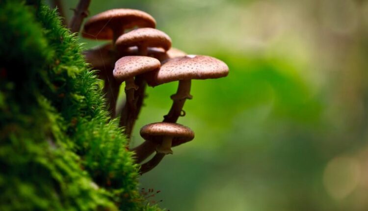 سری بیست و نهم عکس زمینه های متنوع با کیفیت   Wallpapers