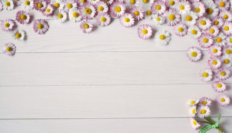 سری بیست و نهم عکس زمینه های متنوع با کیفیت   Wallpapers