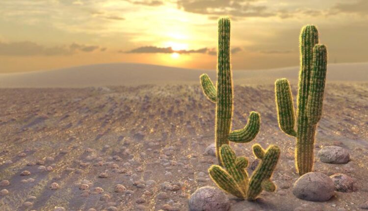 سری سی ام عکس زمینه های متنوع با کیفیت   Wallpapers