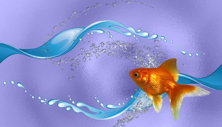 سری سی ام عکس زمینه های متنوع با کیفیت   Wallpapers