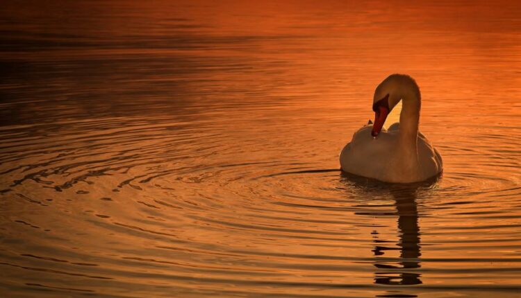 سری سی ام عکس زمینه های متنوع با کیفیت   Wallpapers