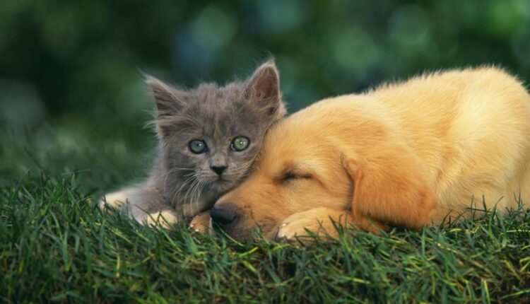 سری سی ام عکس زمینه های متنوع با کیفیت   Wallpapers