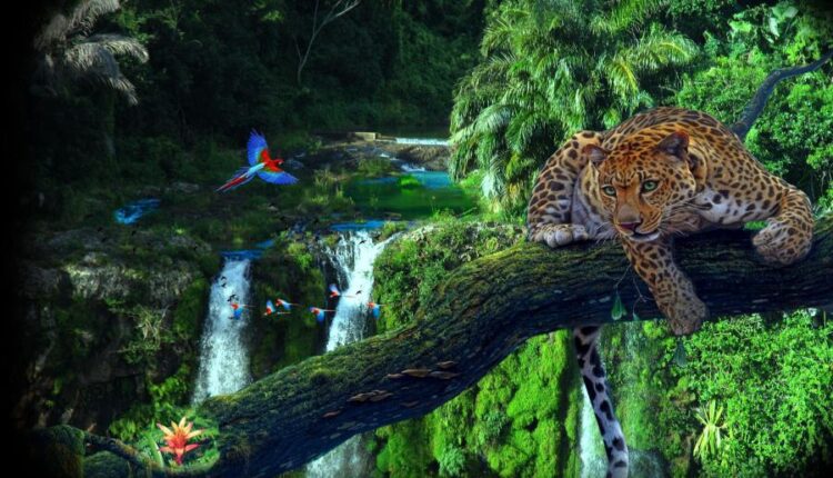 سری سی ام عکس زمینه های متنوع با کیفیت   Wallpapers