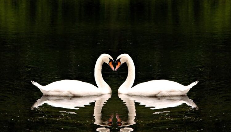 سری سی ام عکس زمینه های متنوع با کیفیت   Wallpapers