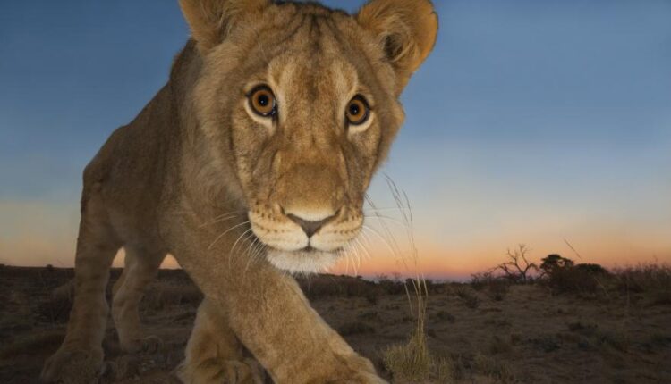 سری سی ام عکس زمینه های متنوع با کیفیت   Wallpapers