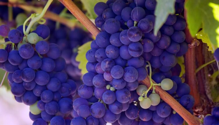 سری سی ام عکس زمینه های متنوع با کیفیت   Wallpapers