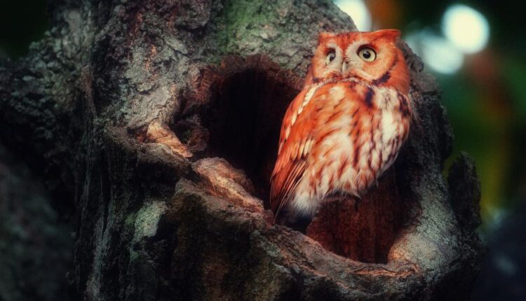 سری سی ام عکس زمینه های متنوع با کیفیت   Wallpapers