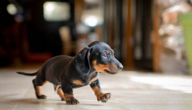 سری سی ام عکس زمینه های متنوع با کیفیت   Wallpapers