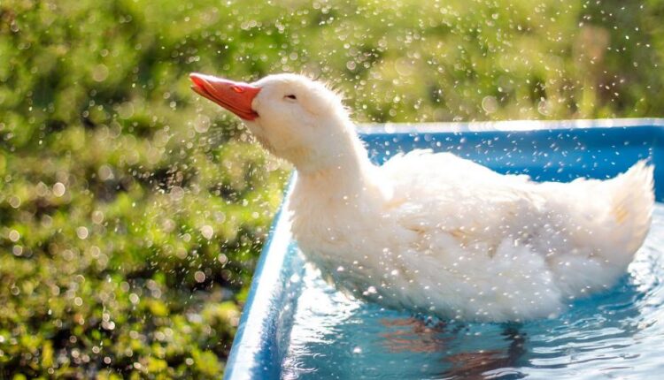 سری سی ام عکس زمینه های متنوع با کیفیت   Wallpapers