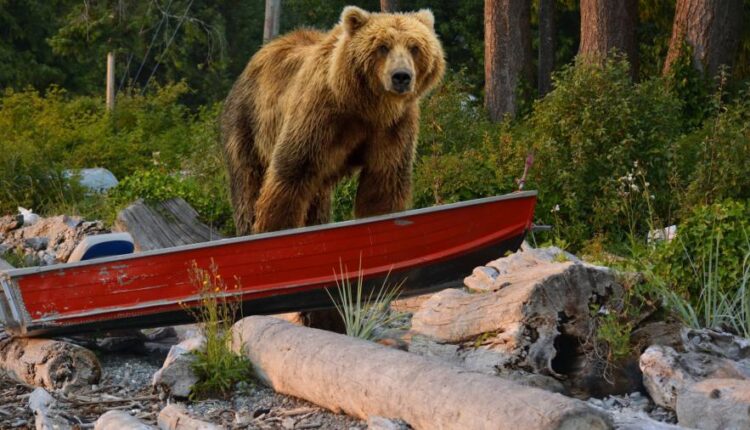 سری سی ام عکس زمینه های متنوع با کیفیت   Wallpapers