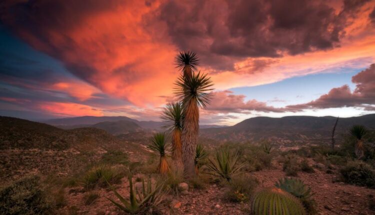 سری سی ام عکس زمینه های متنوع با کیفیت   Wallpapers