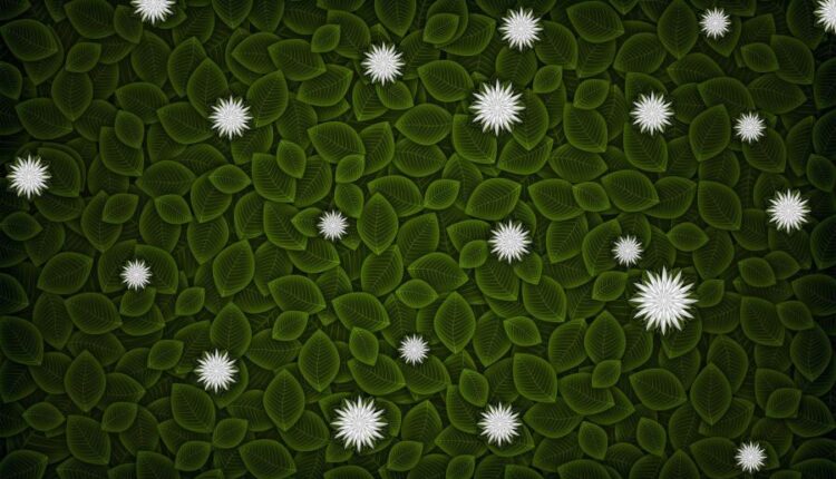 سری سی و یکم بک گراند های متنوع با کیفیت   Wallpapers