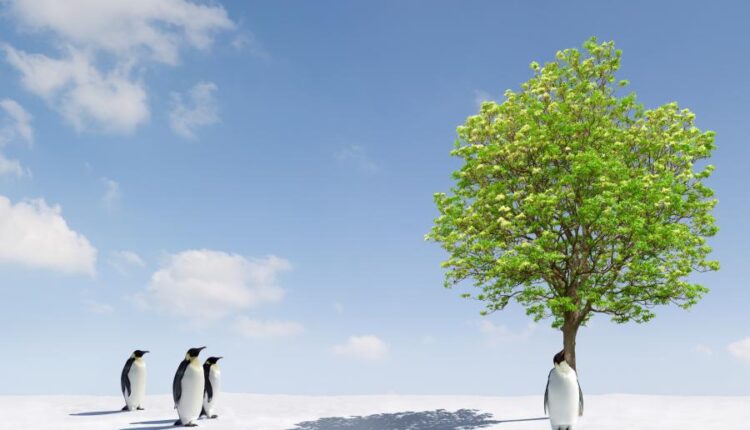 سری سی و یکم بک گراند های متنوع با کیفیت   Wallpapers