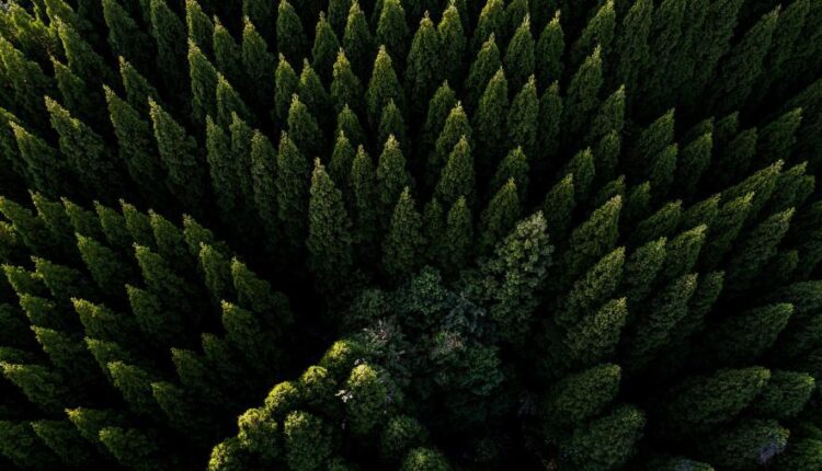 سری سی و یکم بک گراند های متنوع با کیفیت   Wallpapers