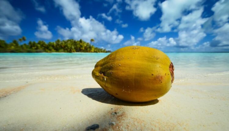 سری سی و یکم بک گراند های متنوع با کیفیت   Wallpapers