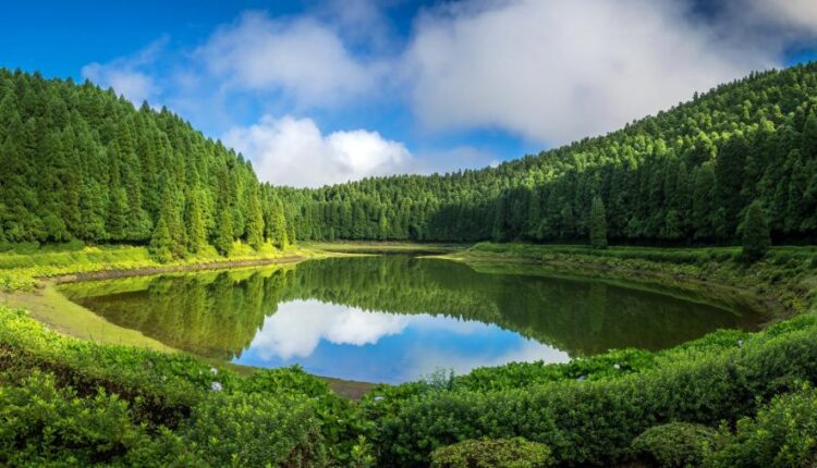 سری سی و یکم بک گراند های متنوع با کیفیت   Wallpapers