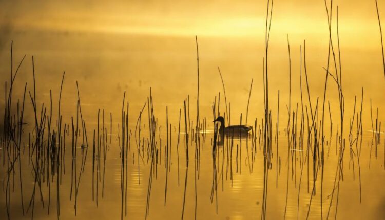 سری سی و یکم بک گراند های متنوع با کیفیت   Wallpapers