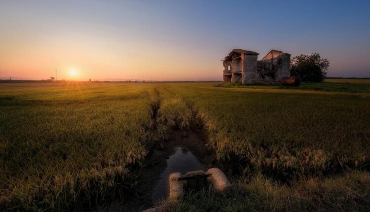 سری سی و یکم بک گراند های متنوع با کیفیت   Wallpapers