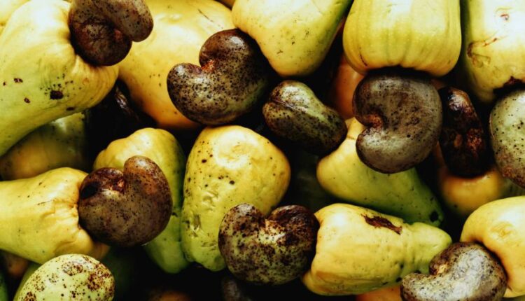 سری سی و یکم بک گراند های متنوع با کیفیت   Wallpapers