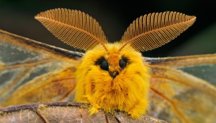 سری سی و یکم بک گراند های متنوع با کیفیت   Wallpapers