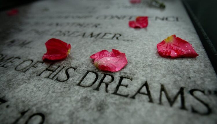 سری سی و یکم بک گراند های متنوع با کیفیت   Wallpapers