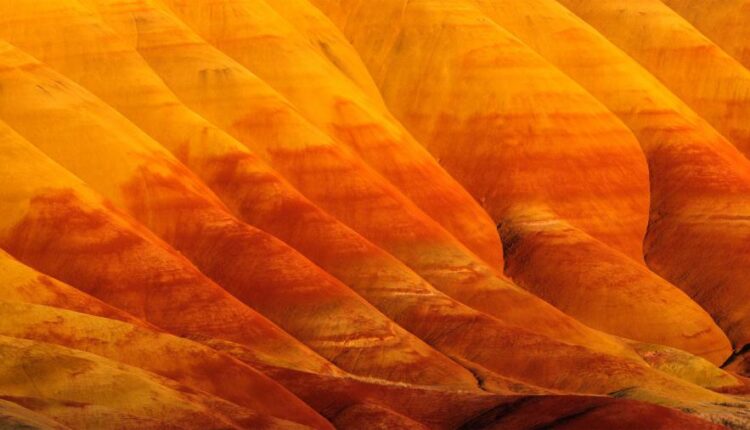 سری سی و یکم بک گراند های متنوع با کیفیت   Wallpapers