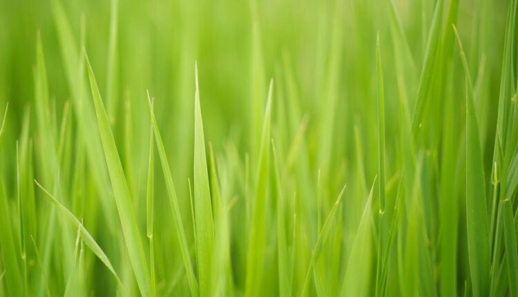 سری سی و یکم بک گراند های متنوع با کیفیت   Wallpapers