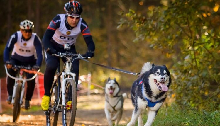 سری سی و یکم بک گراند های متنوع با کیفیت   Wallpapers