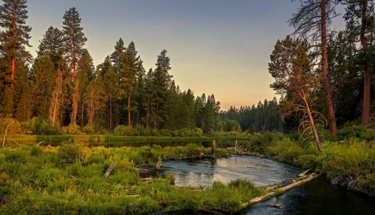 سری سی و دوم بک گراند های متنوع با کیفیت   Wallpapers