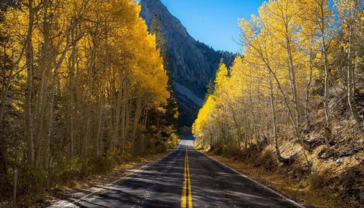 سری سی و دوم بک گراند های متنوع با کیفیت   Wallpapers