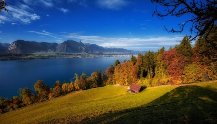 سری سی و دوم بک گراند های متنوع با کیفیت   Wallpapers